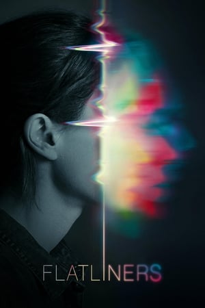 Flatliners (2017) Dual Audio HDRip | Hindi Full Movie – 480p