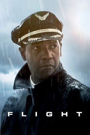 Flight (2012) Dual Audio | Hindi Full Movie BluRay 400MB