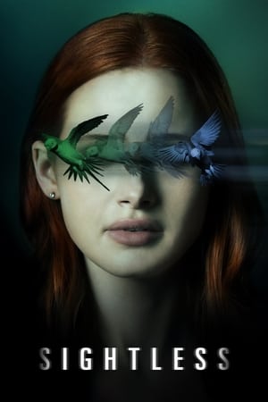 Sightless 2020 Dual Audio | Hindi Full Movie Web-DL [800MB]