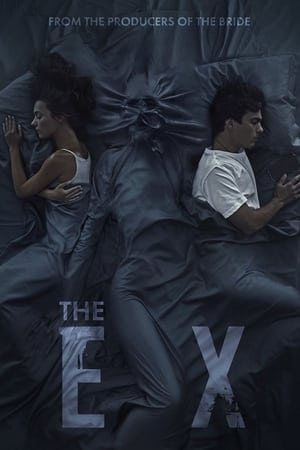 The Ex (2021) Dual Audio HDRip | Hindi Full Movie – 480p